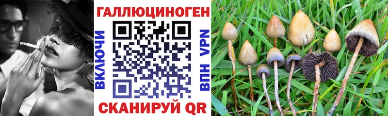 маркетплейс какой сайт  Краснозаводск  Галлюциногенные грибы MAGIC MUSHROOMS 